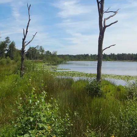 't Nagtegaeltje Lägenhet Sint-Oedenrode