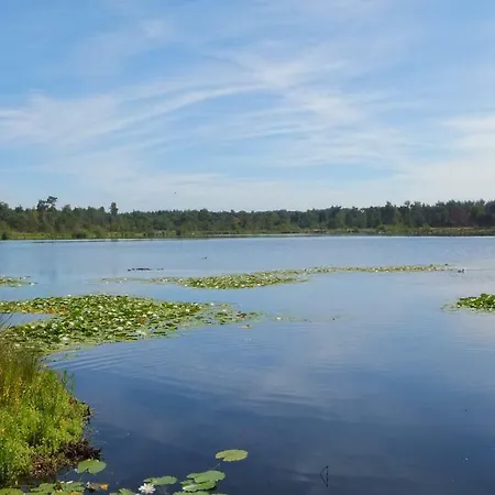 't Nagtegaeltje * Sint-Oedenrode