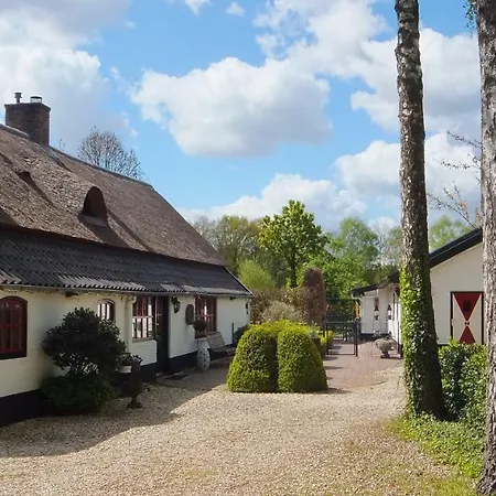 't Nagtegaeltje