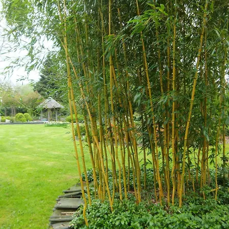 't Nagtegaeltje Apartmán