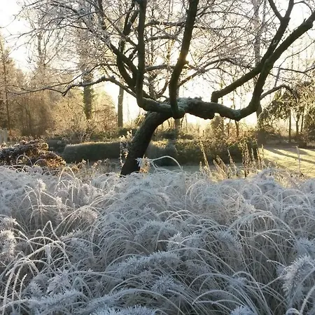 Lägenhet 't Nagtegaeltje