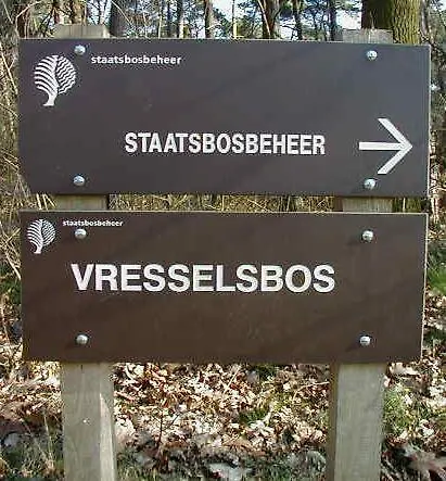 't Nagtegaeltje *
