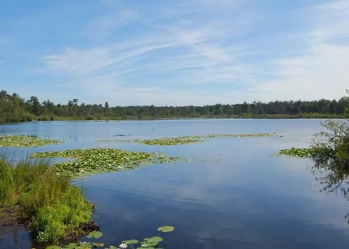 't Nagtegaeltje * Sint-Oedenrode