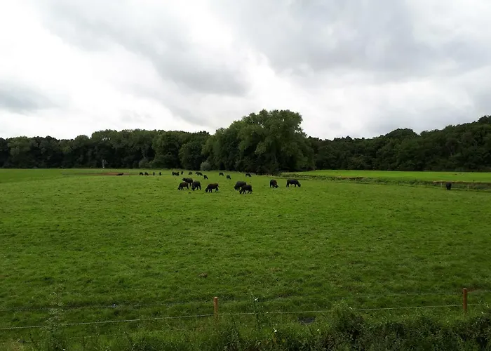 Lägenhet 't Nagtegaeltje *