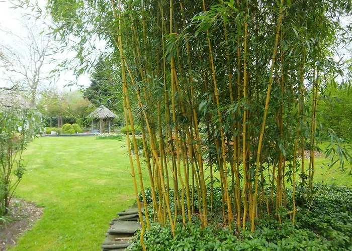 't Nagtegaeltje Appartement