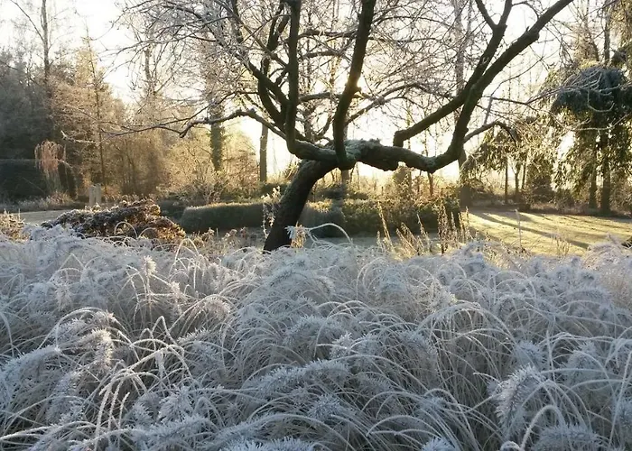 Lägenhet 't Nagtegaeltje