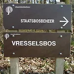 't Nagtegaeltje *