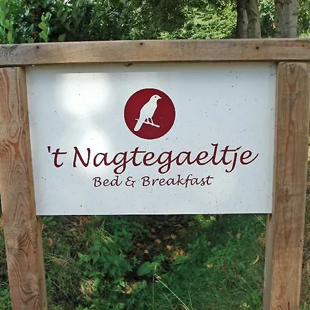 't Nagtegaeltje דירה